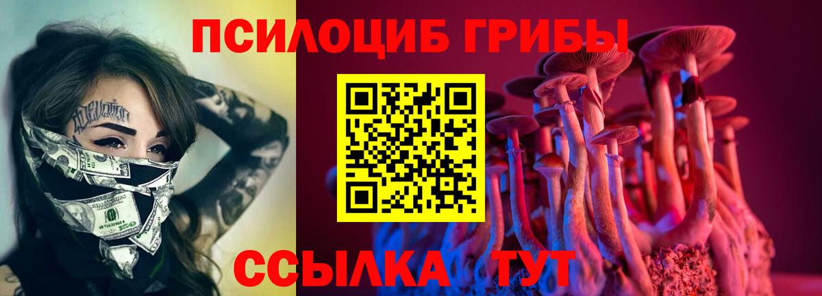 Псилоцибиновые грибы Psilocybine cubensis  Вход с VPN  Челябинск 